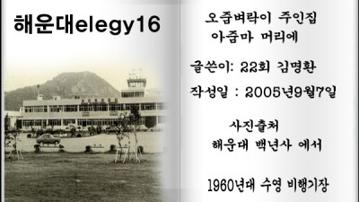해운대elegy16, 오줌벼락이 주인집 아줌마 머리에